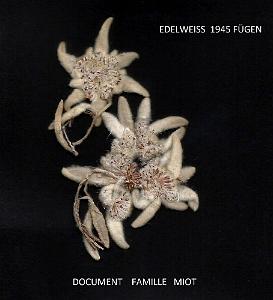 201 a  EDELWEISS